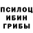 Галлюциногенные грибы Psilocybe anton filaretov