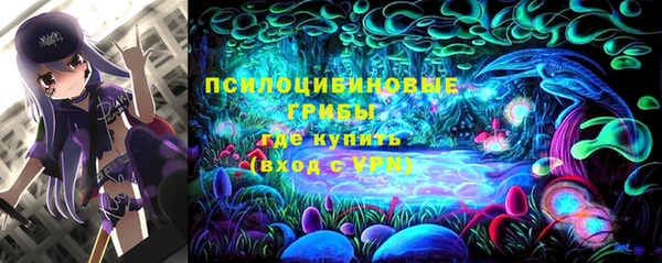 спайс Медвежьегорск