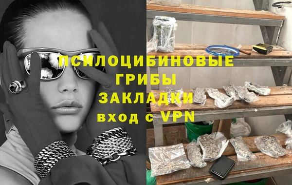 спайс Медвежьегорск