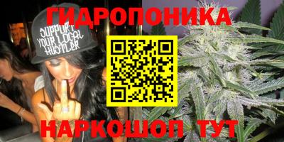 дмт Абинск