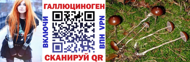 наркота  Каменск-Шахтинский  Галлюциногенные грибы ЛСД 