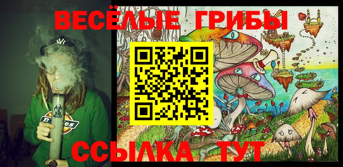 Галлюциногенные грибы Psilocybine cubensis Каменск-Шахтинский