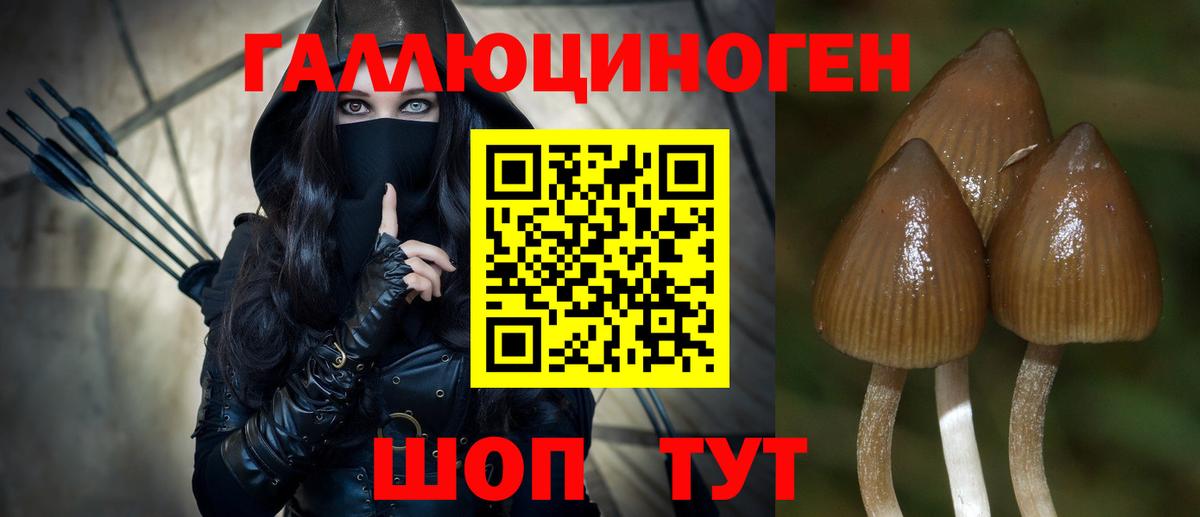 где продают   Каменск-Шахтинский  Галлюциногенные грибы мицелий  Галлюциногенные грибы мухоморы 